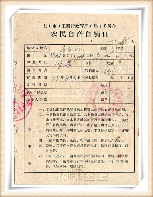 1973年农民自产自销证 (时光怀旧趣味收藏品) 背面又作其它用处(tz083